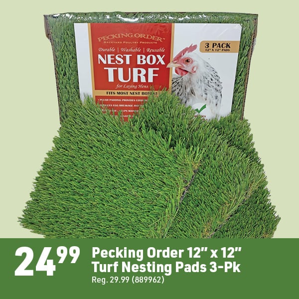 April 20 Landing Page Image75