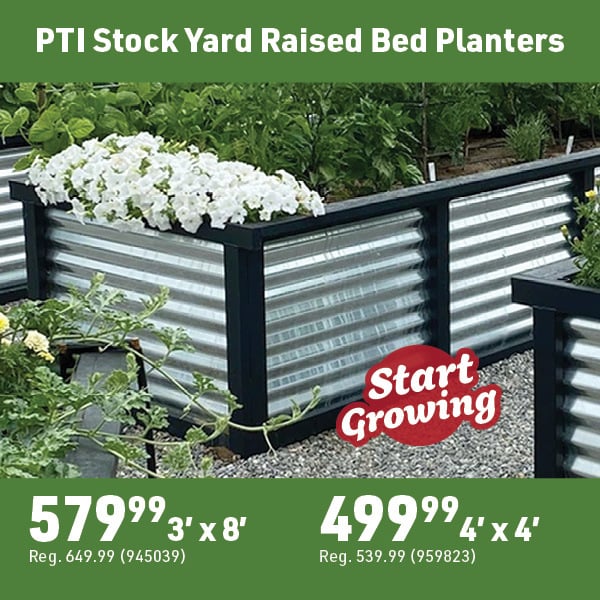 April 20 Landing Page Image77