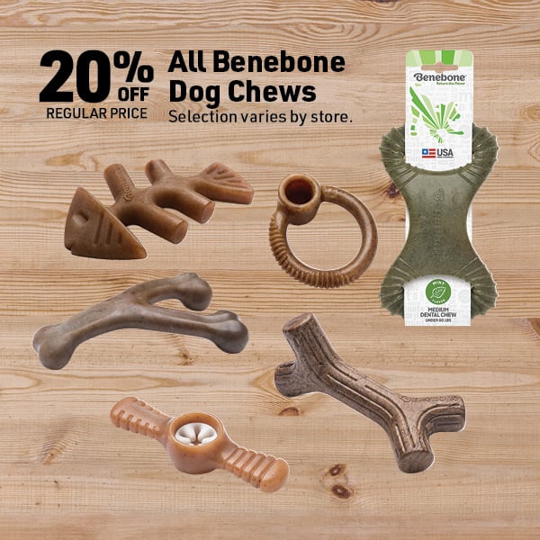 April 20 Landing Page Image79