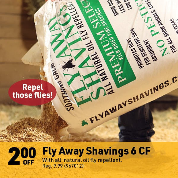 April 20 Landing Page Image80