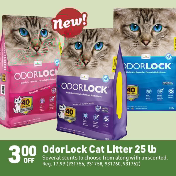 April 20 Landing Page Image82