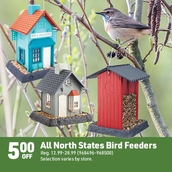 April 20 Landing Page Image85