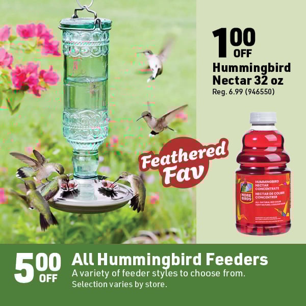 April 20 Landing Page Image88