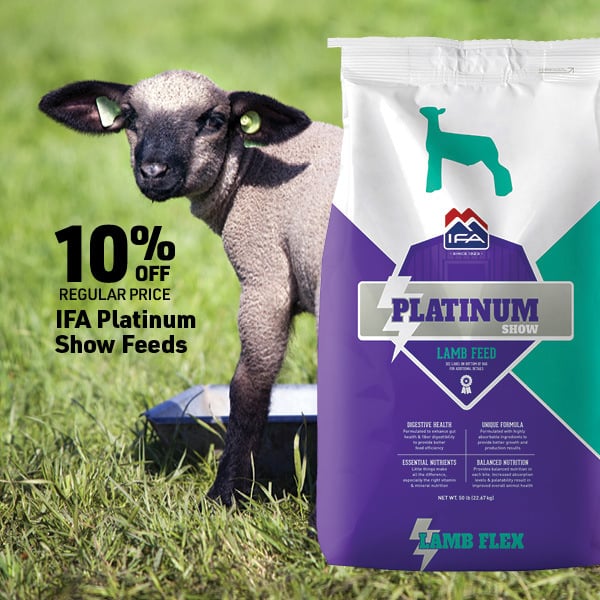 April 20 Landing Page Image89