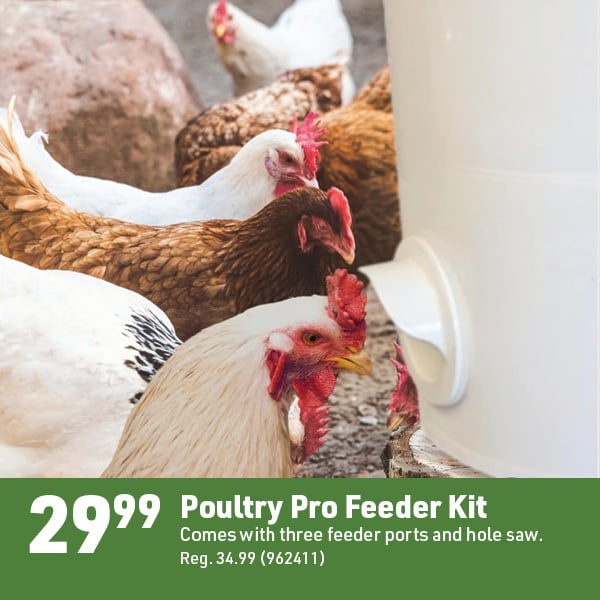 April 20 Landing Page Image90