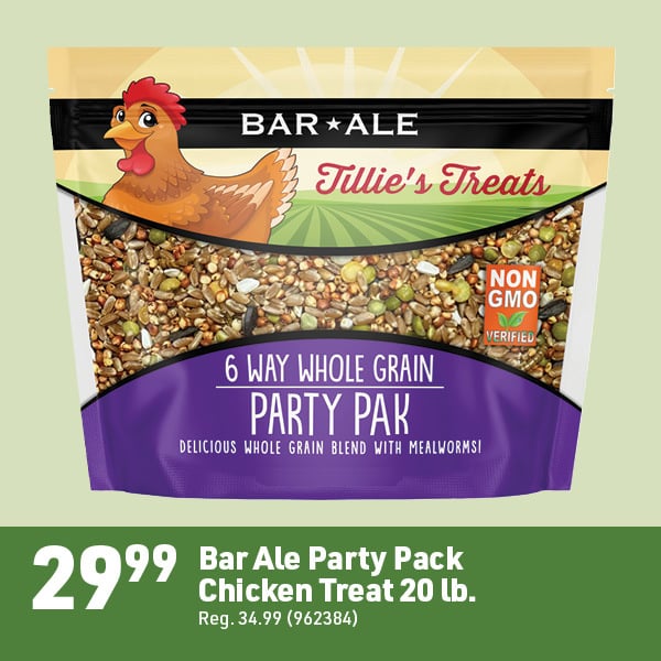 April 20 Landing Page Image91