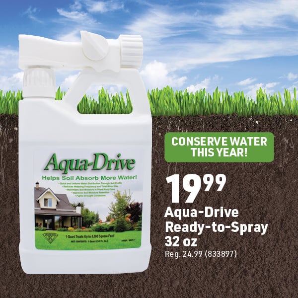 April 20 Landing Page Image95