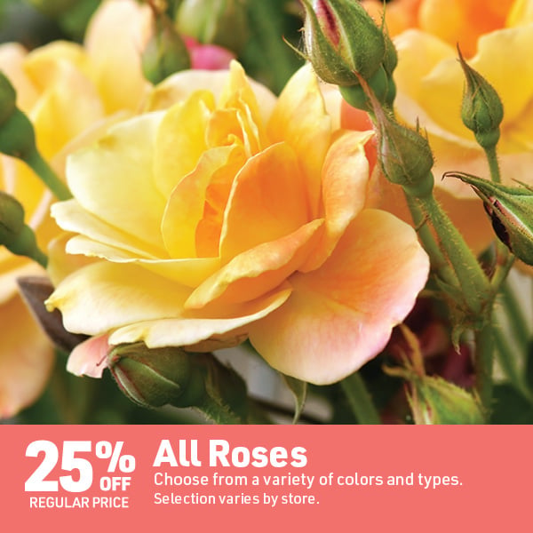 May 4 Landing Page Image1