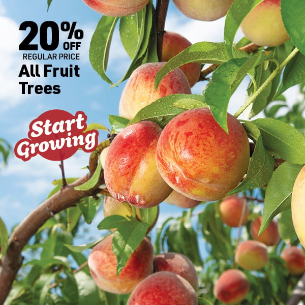 May 4 Landing Page Image11