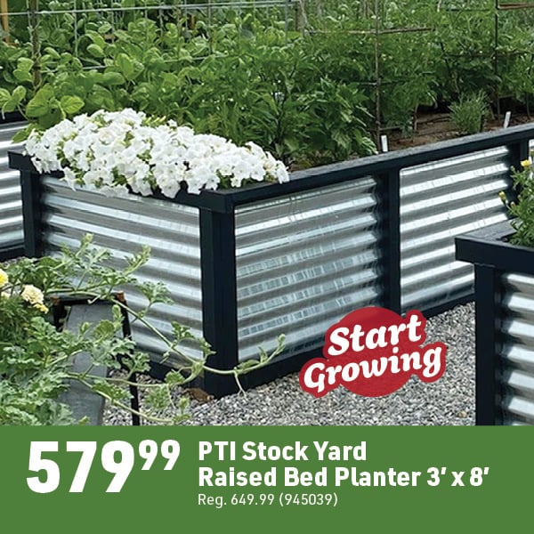May 4 Landing Page Image22