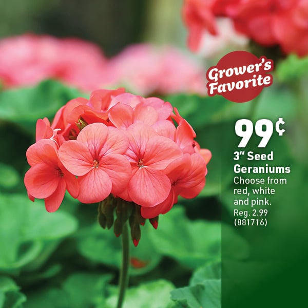 May 4 Landing Page Image32
