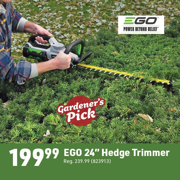 May 4 Landing Page Image38