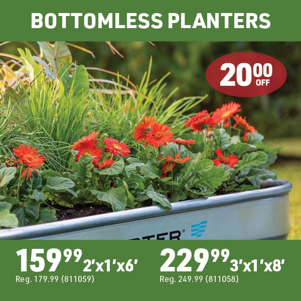 May 4 Landing Page Image57