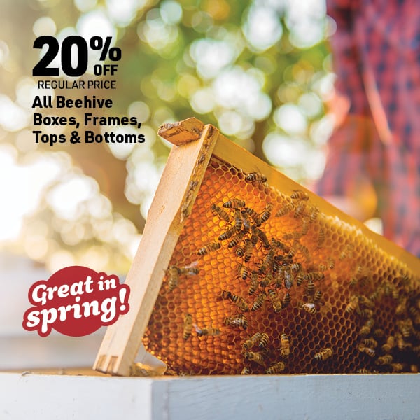 May 4 Landing Page Image9