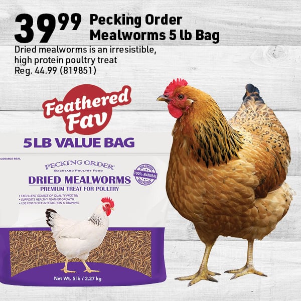 May 18 Landing Page Image27