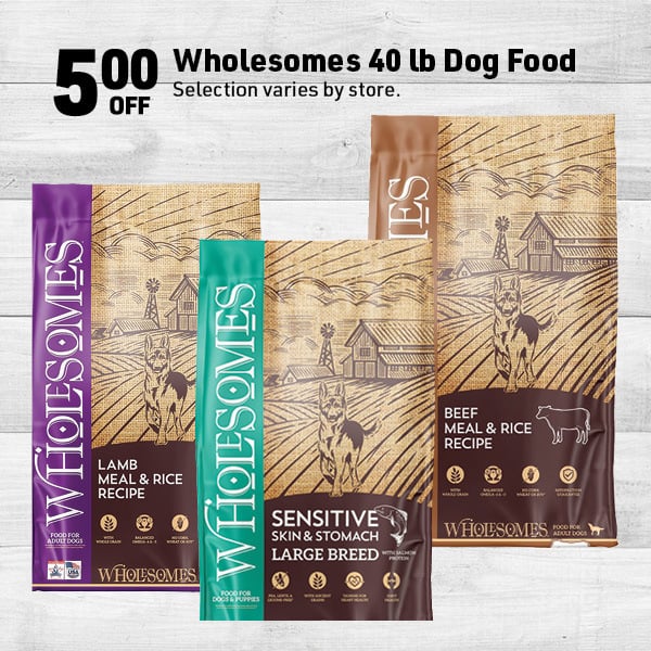 May 18 Landing Page Image40