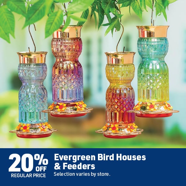 May 18 Landing Page Image59