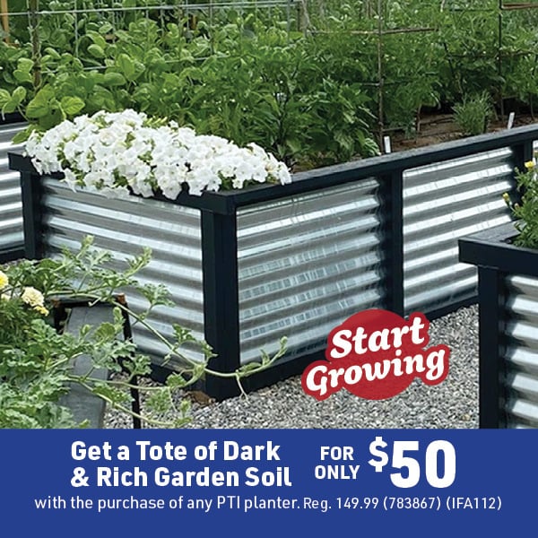 May 18 Landing Page Image7