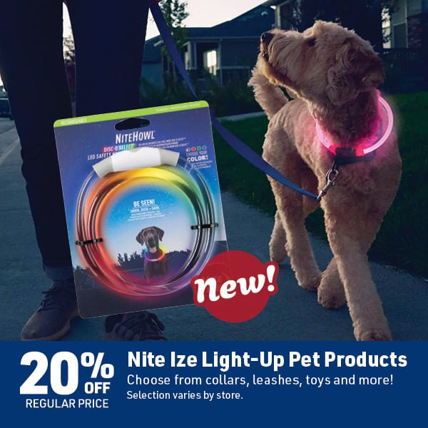 June 8 Landing Page Image17