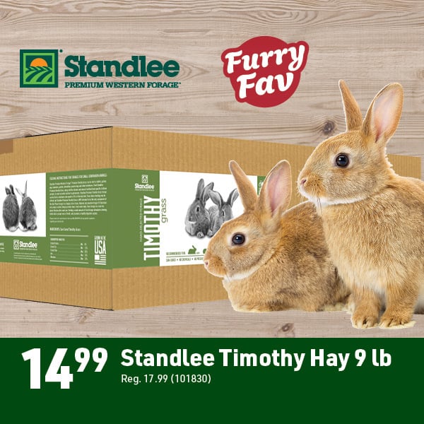 June 8 Landing Page Image18