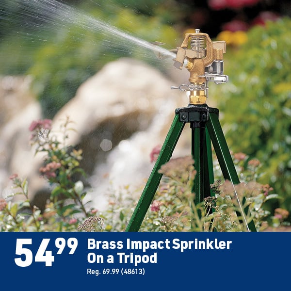 June 8 Landing Page Image24