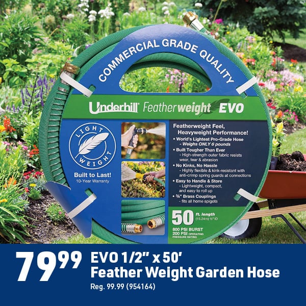 June 8 Landing Page Image29