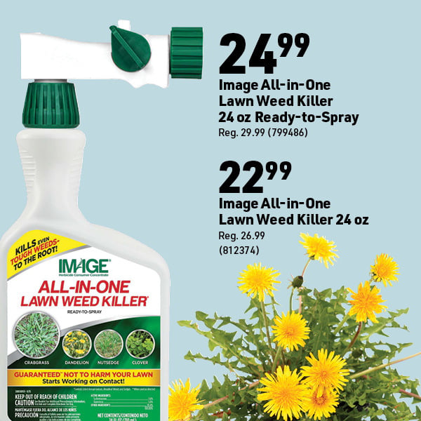 June 8 Landing Page Image31
