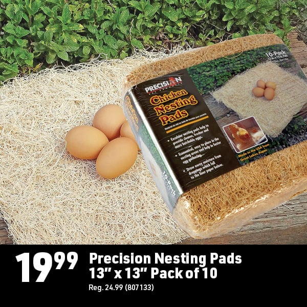 June 8 Landing Page Image42