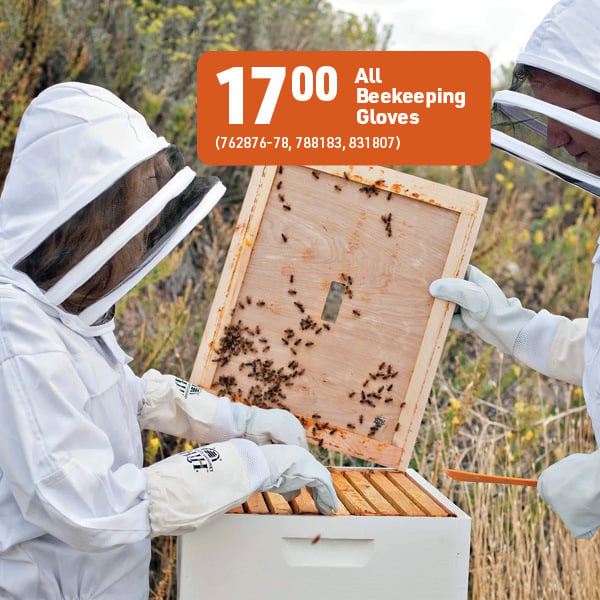 June 8 Landing Page Image9