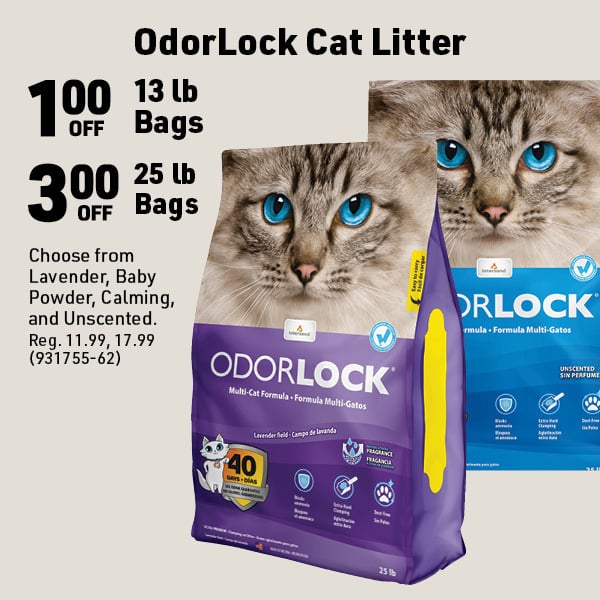 Sept 28 Landing Page Image71