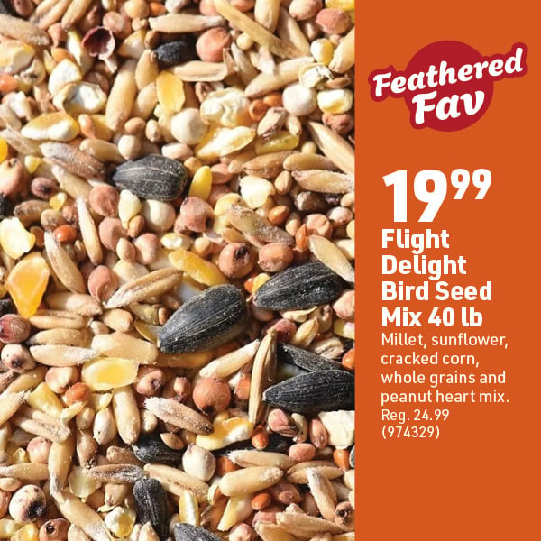 Sept 28 Landing Page Image73