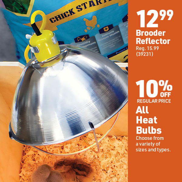 Sept 28 Landing Page Image77