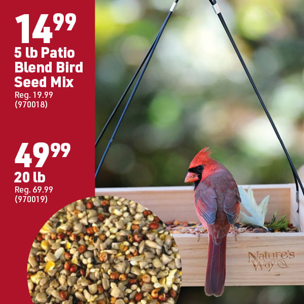 Nov 2 Landing Page Image10