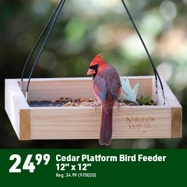 Nov 2 Landing Page Image12