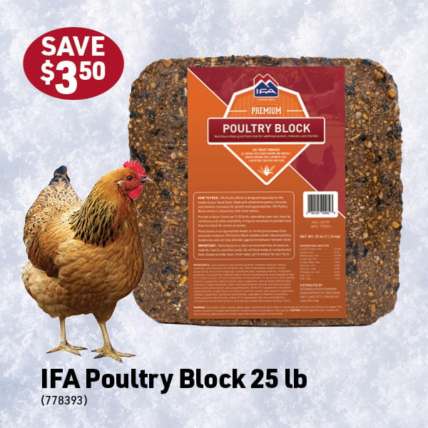 Nov 2 Landing Page Image15