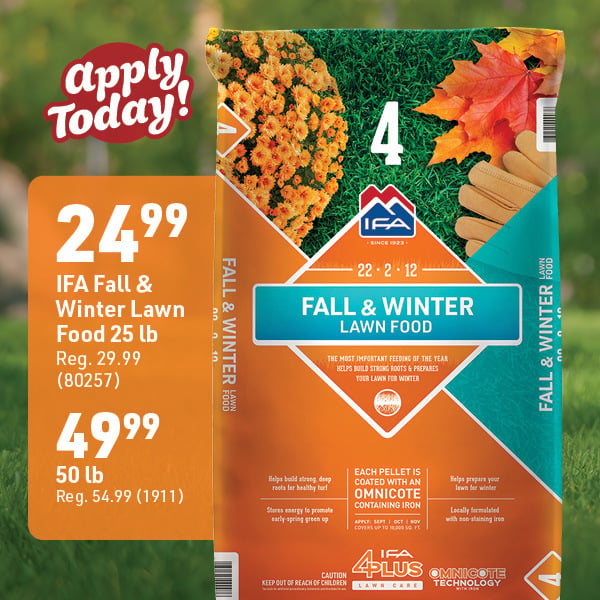 Nov 2 Landing Page Image28
