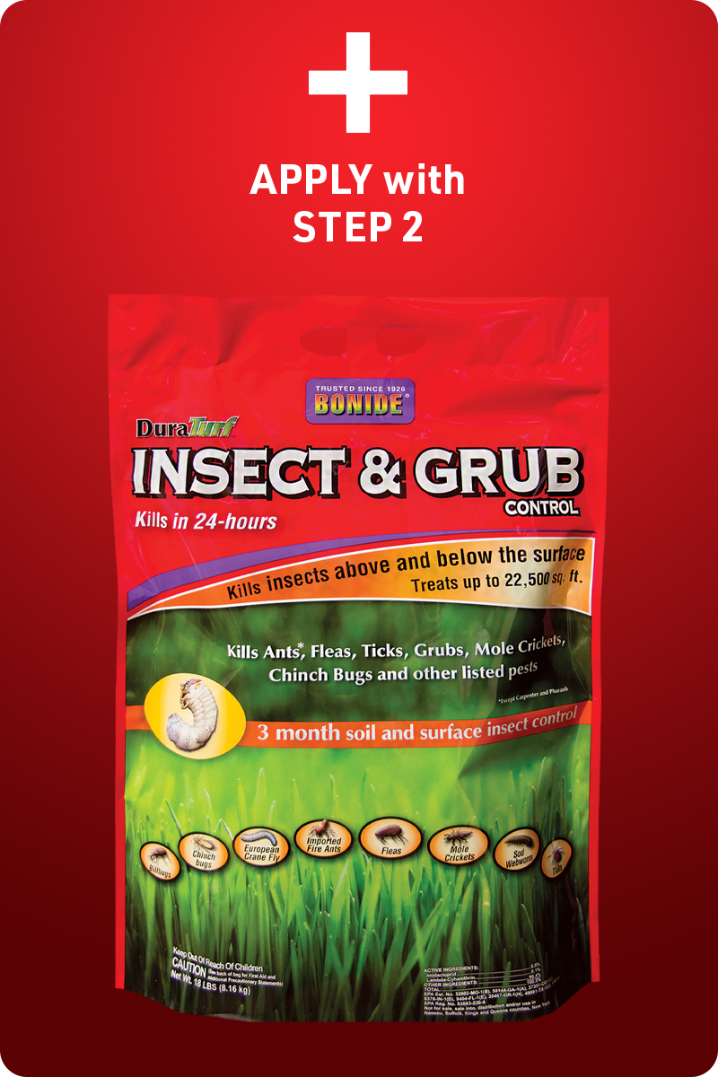 4Plus_Box_BonideGrub_img1