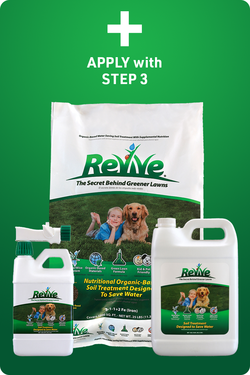 4Plus_Box_Revive_img1