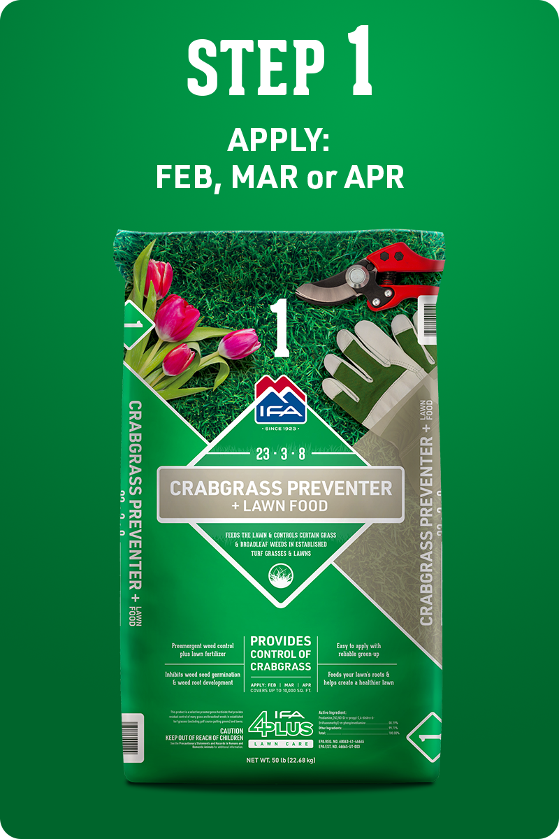 4Plus_Box_Step1_img1