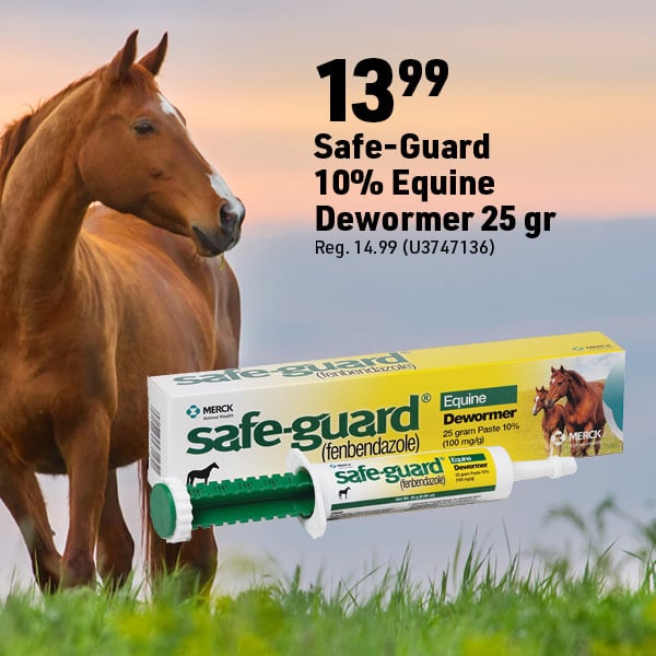 April 20 Landing Page Image106