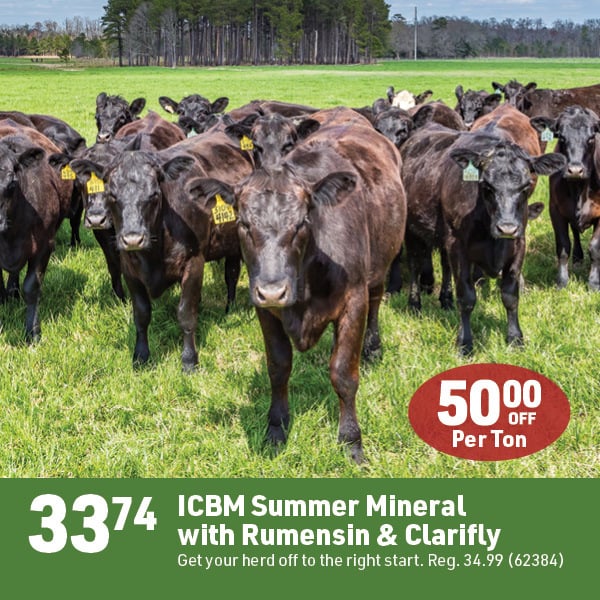 April 20 Landing Page Image83