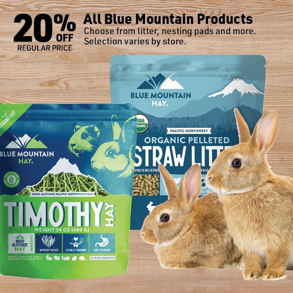 April 20 Landing Page Image84