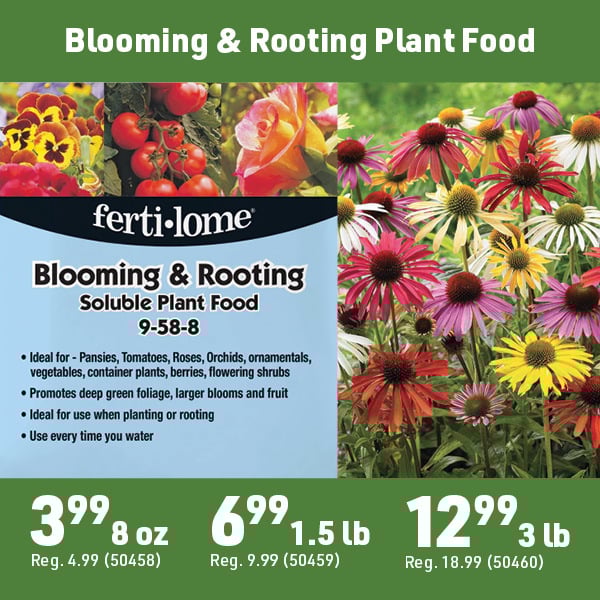 April 20 Landing Page Image97