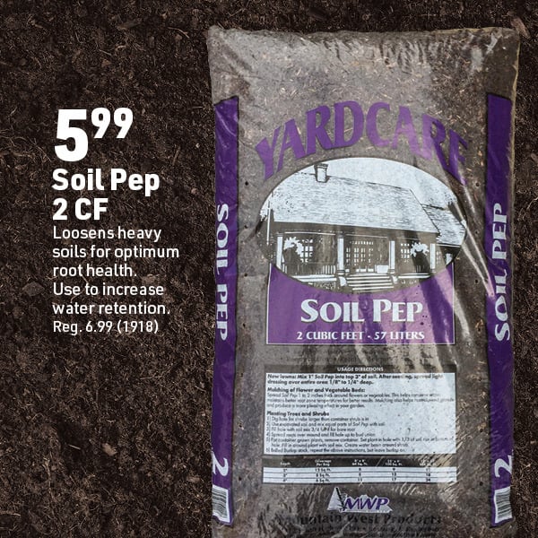 April 20 Landing Page Image99