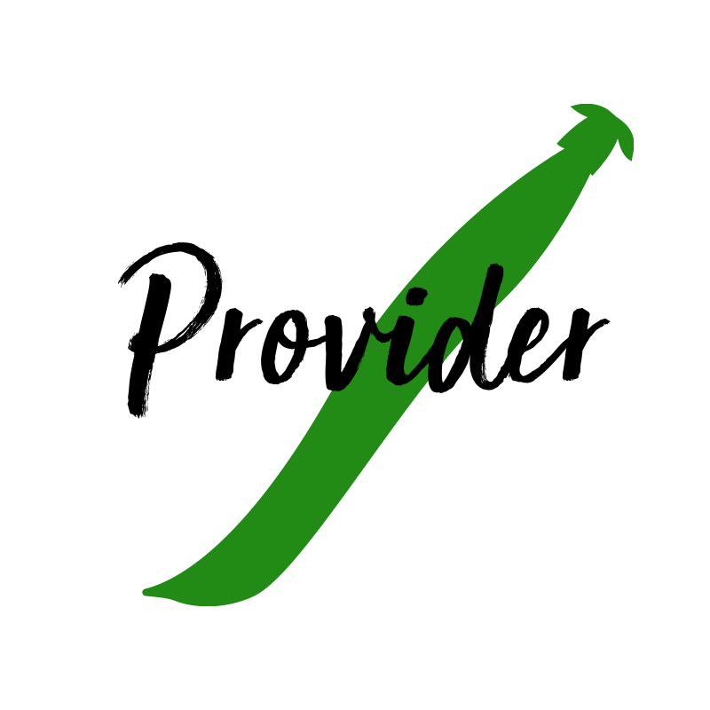 A simple outline of a Provider bean.