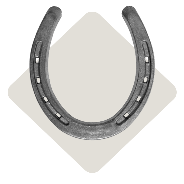 Farrier-Supplies