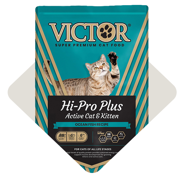 Category_Level3_Cat-Food