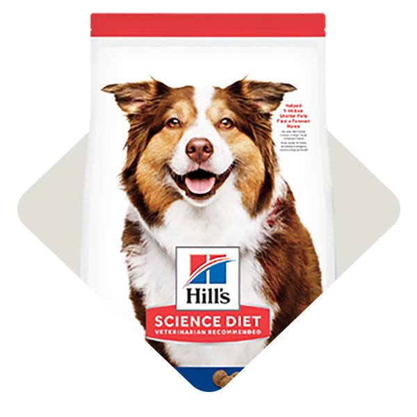 Category_Level3_Dog-Food