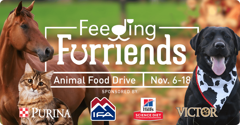 IFA Feeding Furriends 2023 Animal Food Drive IFA Feeding Furriends 2023 Animal Food Drive