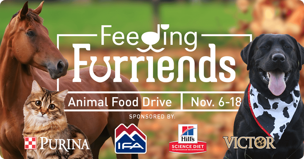 IFA Feeding Furriends 2023 Animal Food Drive